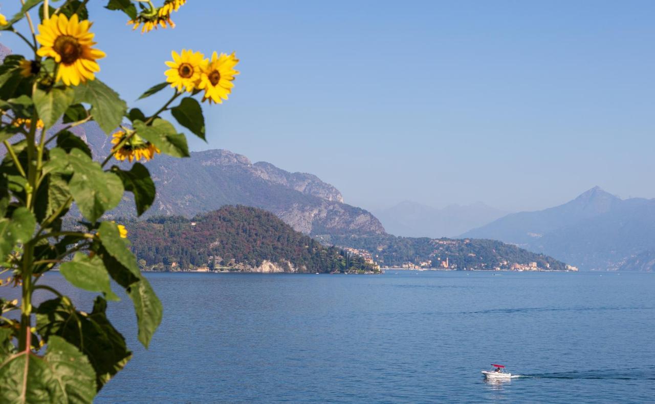 Appartamento Sosta Sul Lago Lezzeno Exterior foto